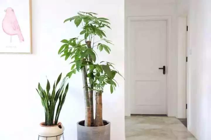 115㎡3室装修效果图 简单的大白墙也很有温馨!
